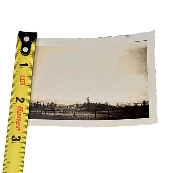 Vtg B&W Monochrome Found Photo 1930s Park Trees Cloudy Sky Naturecore Snapshot - Picture 3 of 4